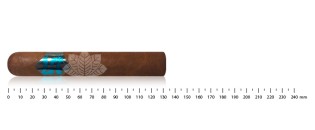 Cigare 77 - 5eme Element No.1