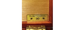 Flor de Copan Rosas 20 Aniversario GR 2023