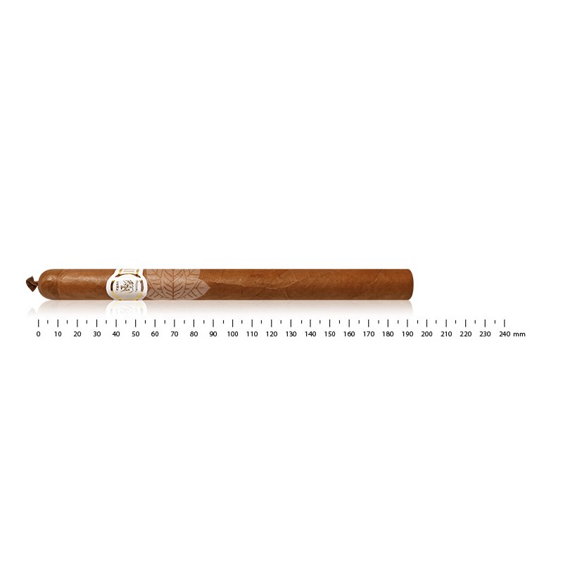 Vegas de Santiago White Label Lancero