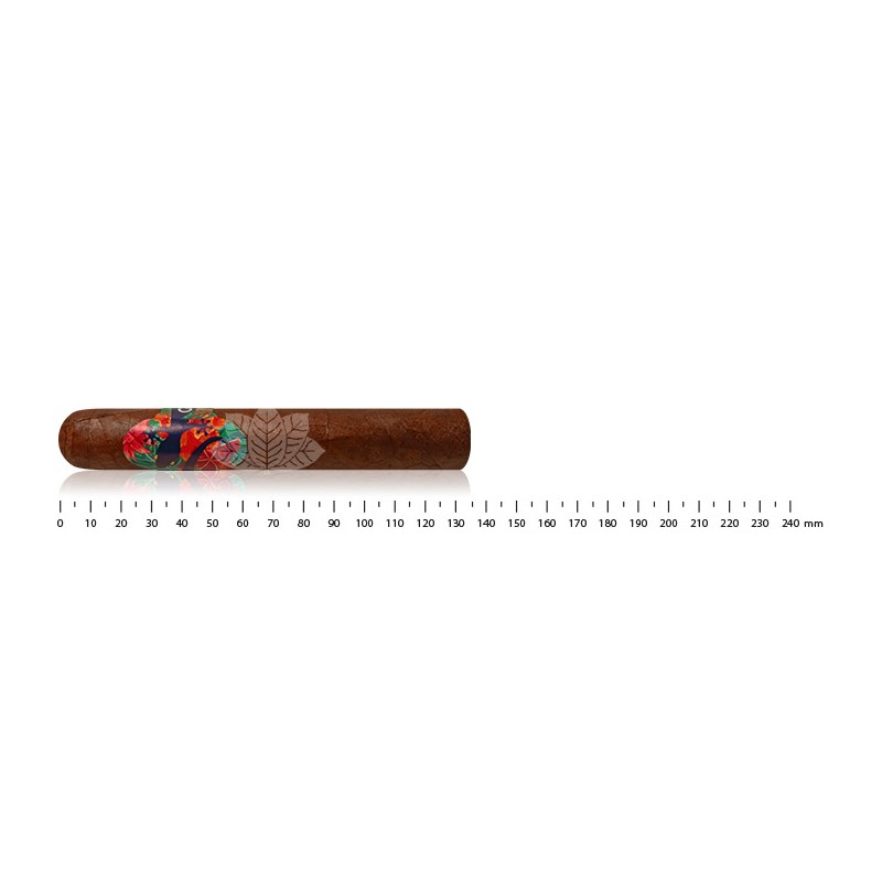 Gecko Sungrown Double Robusto 52