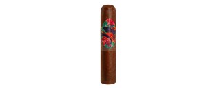Gecko Sungrown Short Robusto 54