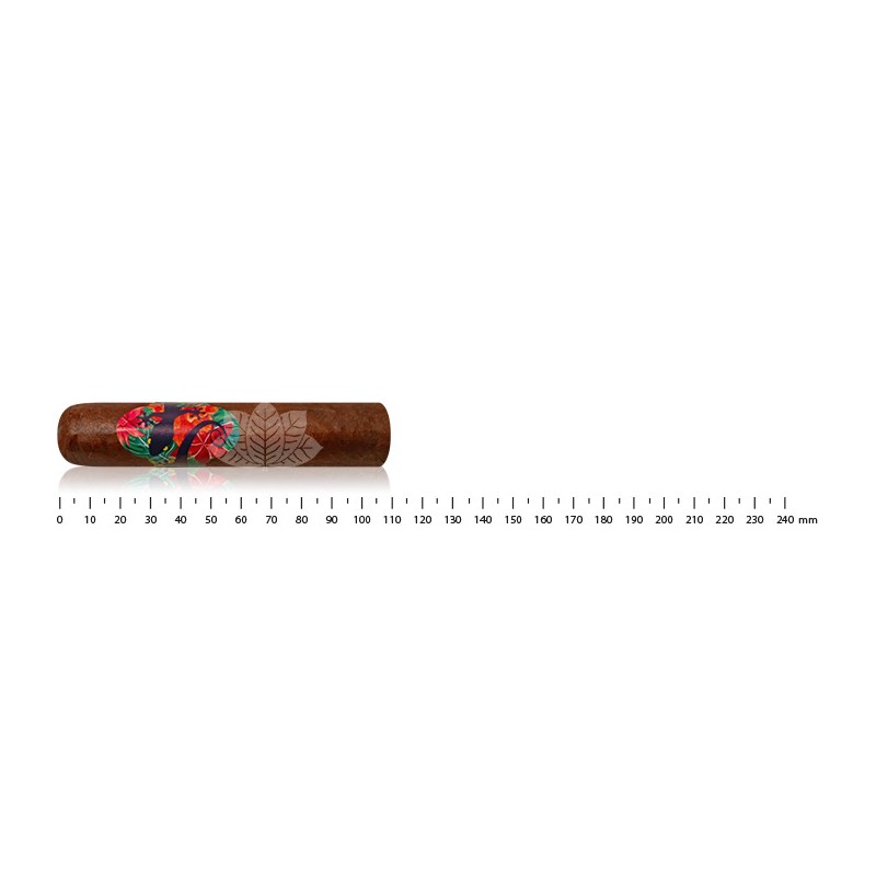 Gecko Sungrown Short Robusto 54